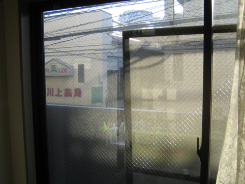 window,2007