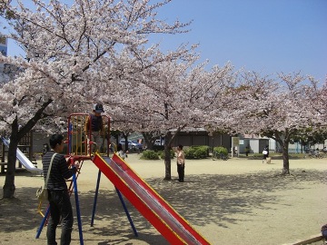 花の名所公園