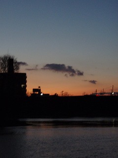 P1310004.jpg