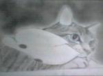 猫の鉛筆画・絵、はいね