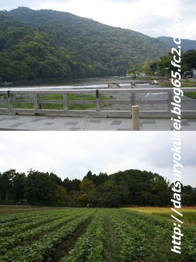 2-05.嵐山