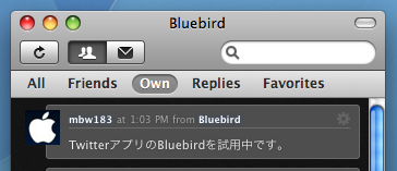 Bluebird02