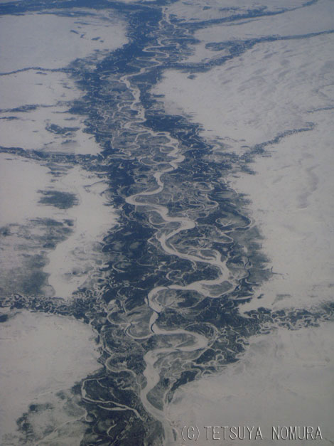 凍る川(c)