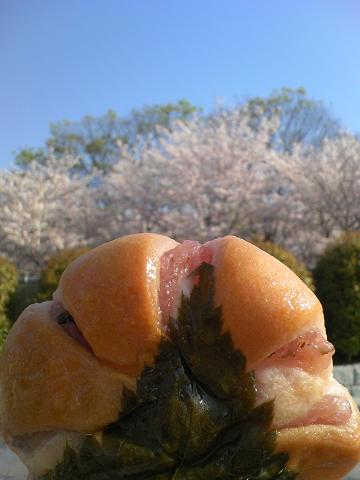 桜あんぱん
