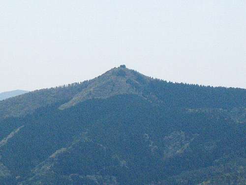 天井山から見た桂木山