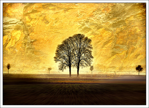 golden tree2