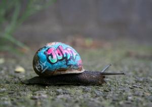 snail graf 1 - blog
