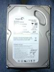 Seagate ST3160812AS