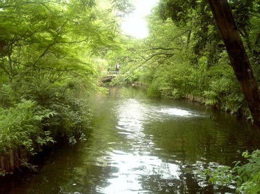 園内の池や川