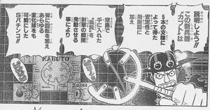 20070801kabuto1.jpg