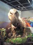 福岡県青少年科学館　ティラノサウルス