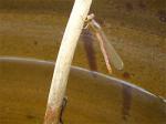 20060426203223.jpg