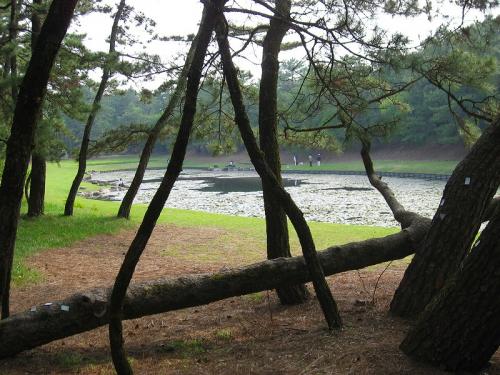 hiroの部屋　御池（みそぎ池）波岐原森林公園