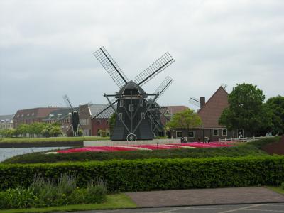 オランダの風景？