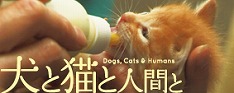 映画「犬と猫と人間と」 オフィシャルサイト
