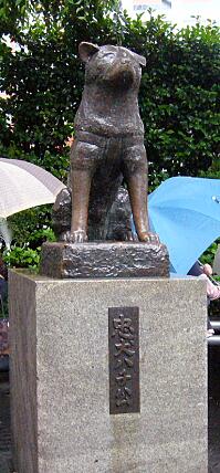 sibuya200806031.jpg