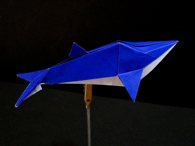 折り紙 イルカ の 作り方
