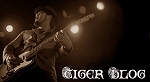 tiger blog