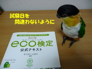 eco検定