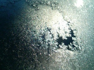 窓の霜