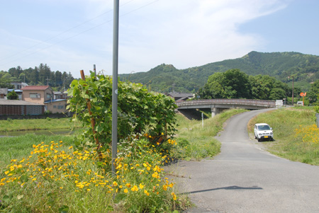 越辺川、中央橋付近(１)