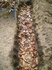 200903027hatake2.jpg