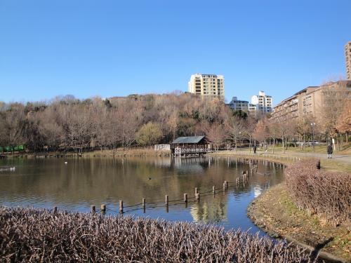 徳生公園　2010年1月