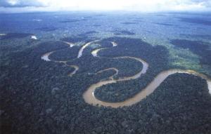 上空から見たアマゾン川の蛇行