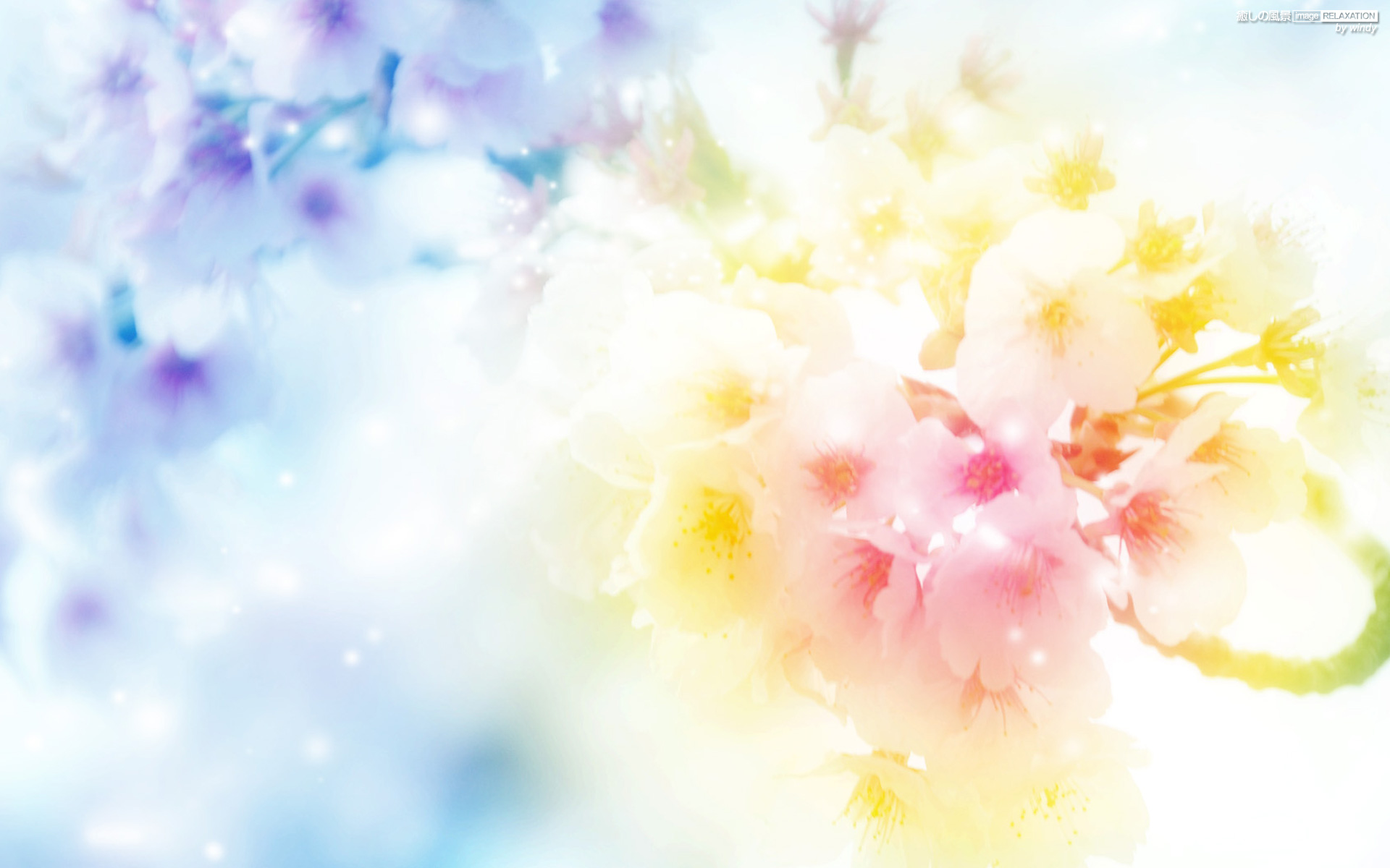 虹色の桜 癒しの風景 Image Relaxation 癒し壁紙
