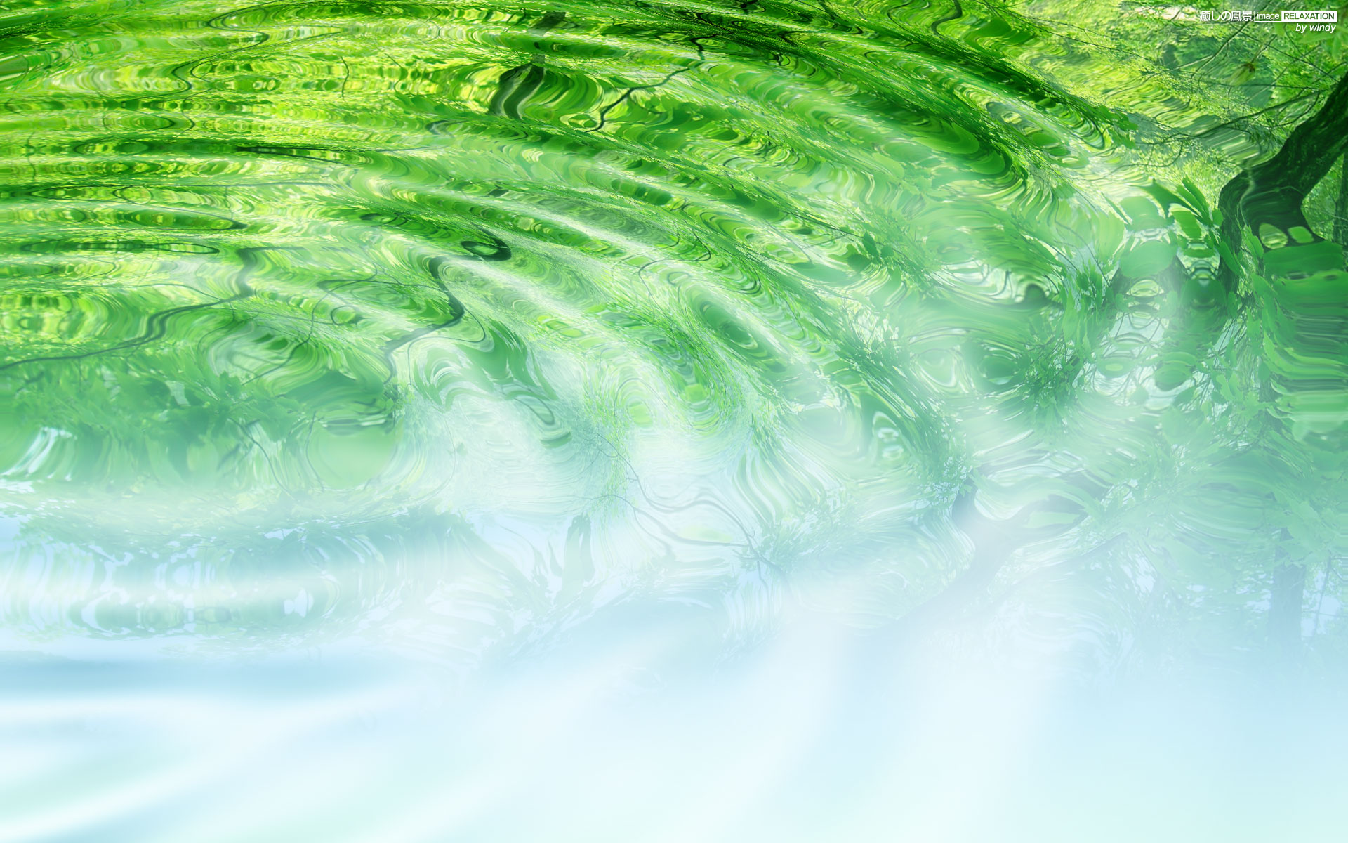 水と緑の潤い 壁紙 グリーン系